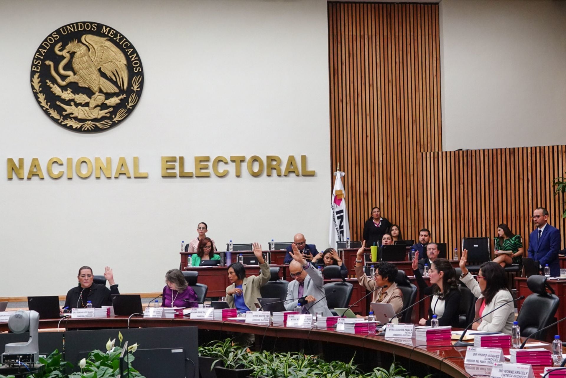 Instituto Nacional Electoral (INE)