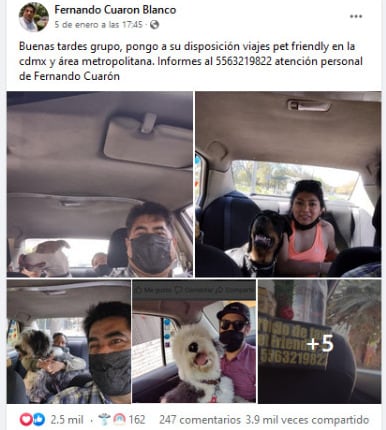 Señor ofrece viajes pet friendly en CDMX y Área Metropolitana
