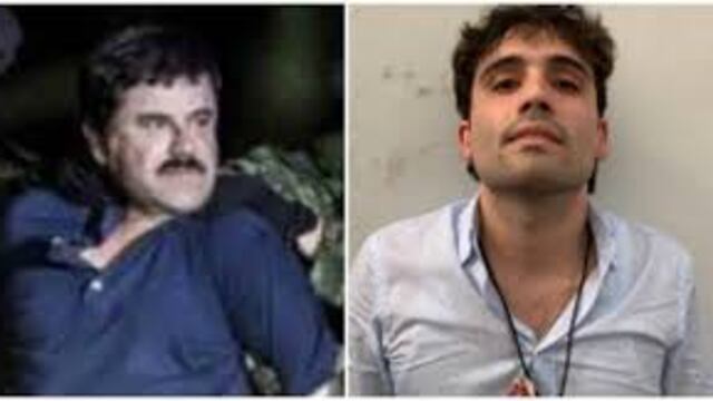 Tanta violencia, tan rara y en tan pocos días es violencia política. No hay más explicación