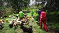 Fundación Haghenbeck: el tufo de la complicidad