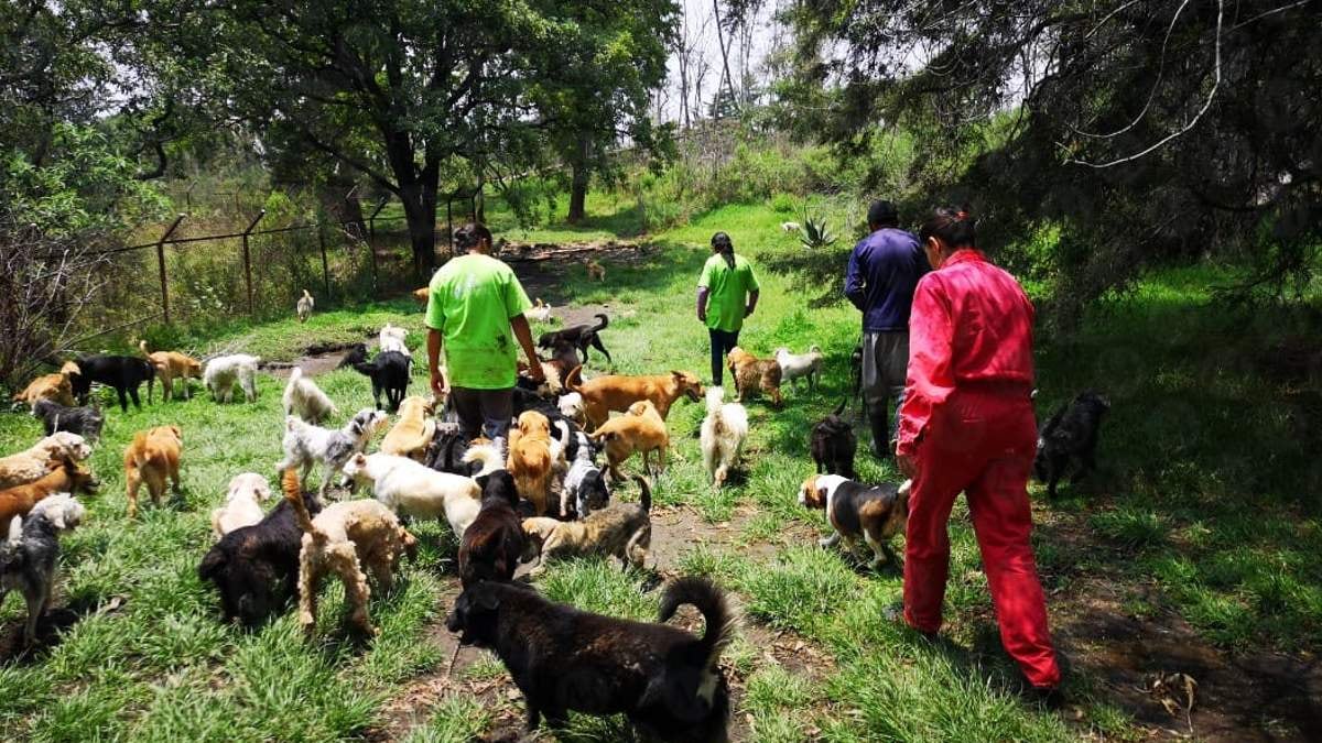 Fundación Haghenbeck: el tufo de la complicidad