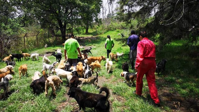 Refugio Franciscano acusa a Fundación Haghenbeck de desalojo por desarrollo inmobiliario