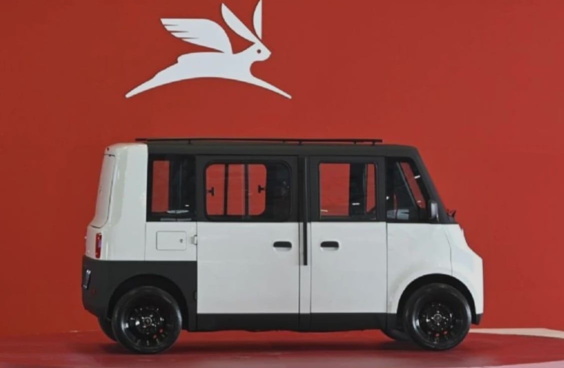 Olinia Cargo