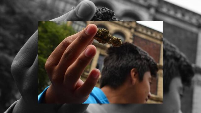 La Comisión Federal para la Protección contra Riesgos Sanitarios (Cofepris) deberá entregar las semillas a los 4 amparados de la Sociedad Mexicana de Autoconsumo Responsable y Tolerante.