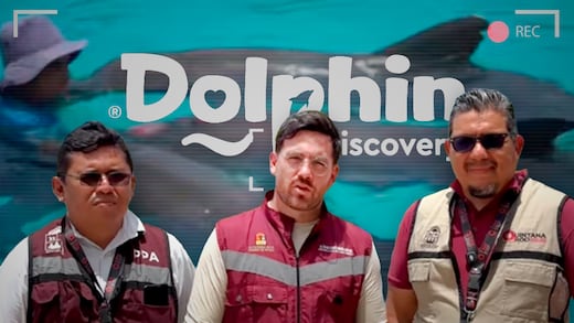 Visitan Dolphin Discovery para verificar cuidado de delfines bajo monitoreo