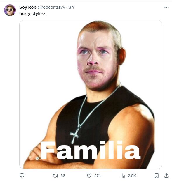 Memes por Harry Styles pelón