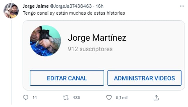 cuida a perrita callejera