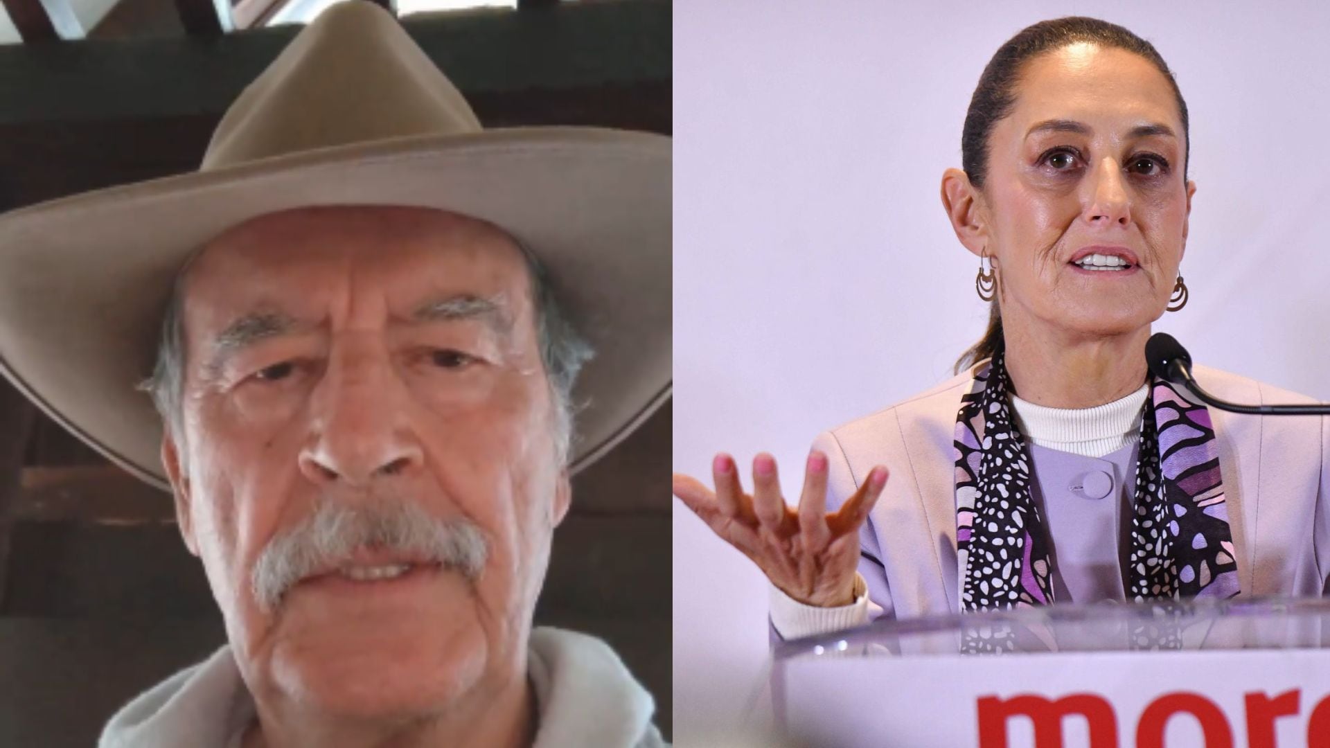 Vicente Fox, Claudia Sheinbaum