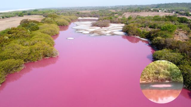 La laguna "La Salina" se pinta de rosa en Oaxaca