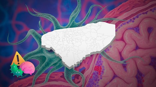 Yucatán detecta ameba Naegleria en seis lagos de Mérida y restringe contacto con el agua