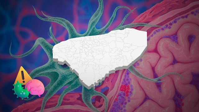 Restringen contacto con el agua de seis lagos en Mérida por ameba Naegleria
