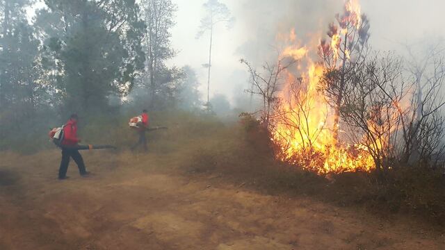 Se mantienen tres incendios forestales activos en Hidalgo