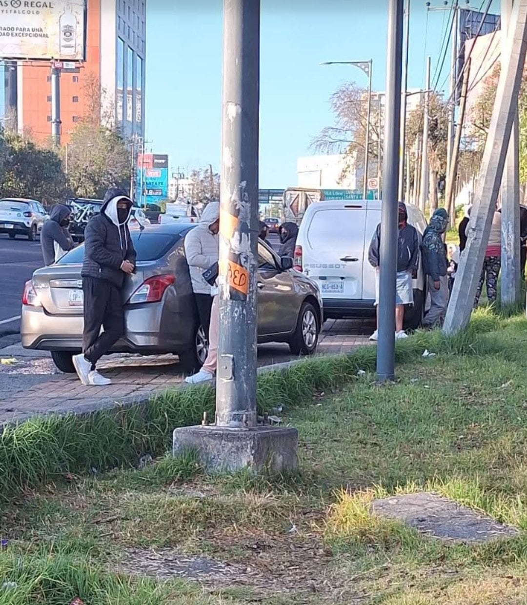 Caso Refugio Franciscano: Fundación Haghenbeck responde a resolución judicial