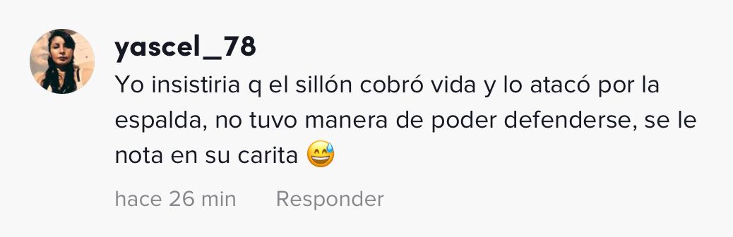 VIDEO: ¿Cómo terminó así? TikTok se pregunta al ver a perro atrapado dentro de sillón