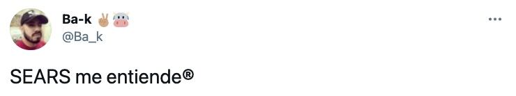 Tuit del maniquí realista