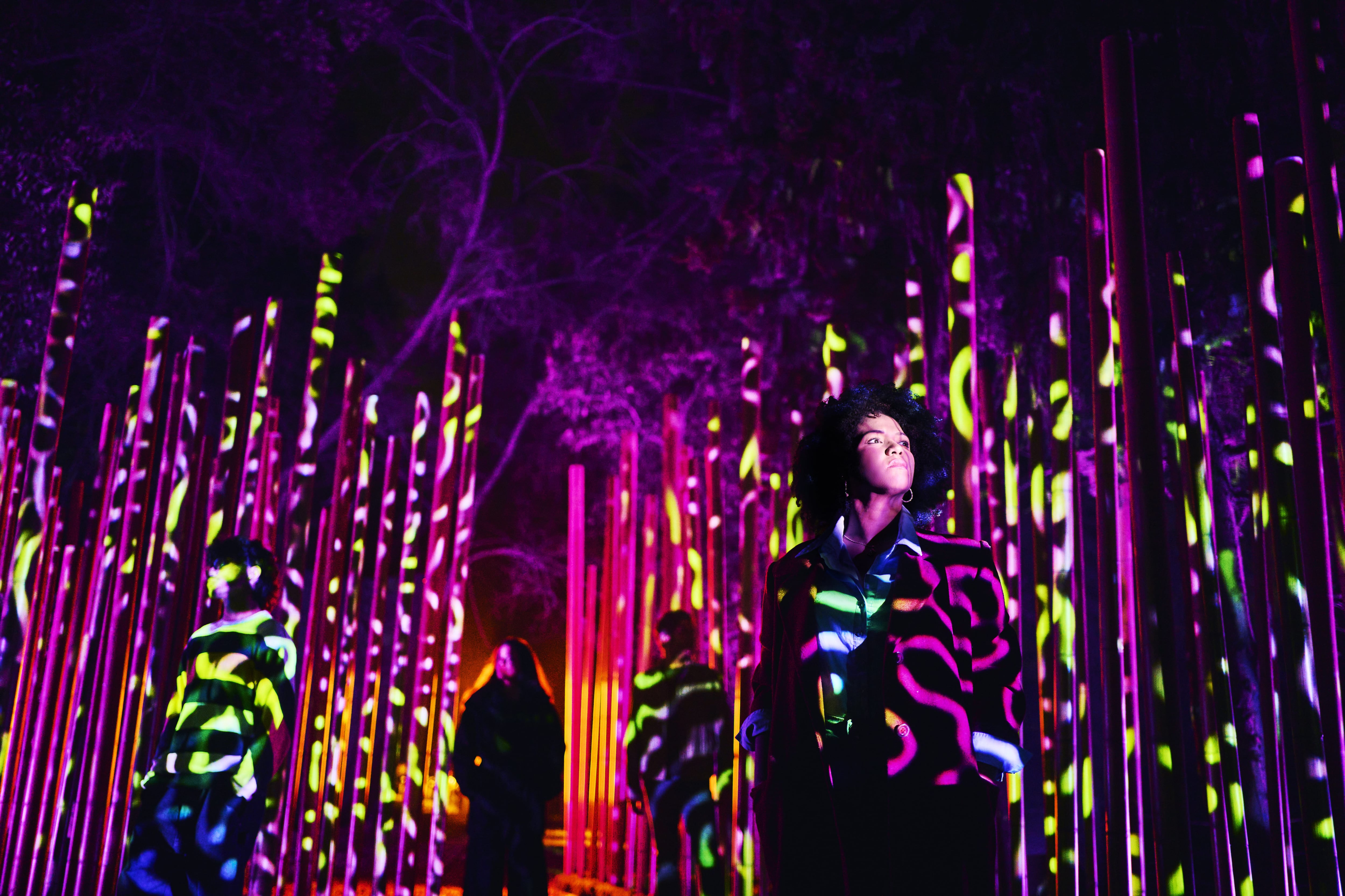Light Cycles regresa a Chapultepec con un recorrido inmersivo de luces, sonido y naturaleza