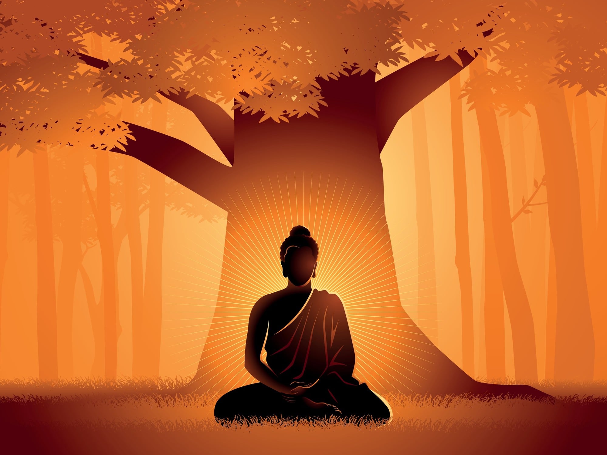 ¿Qué se celebra el 23 de mayo? Hoy es Día del Estudiante en México, Día Internacional del Futbol Femenil, Día Mundial de la Tortuga y Día de Vesak