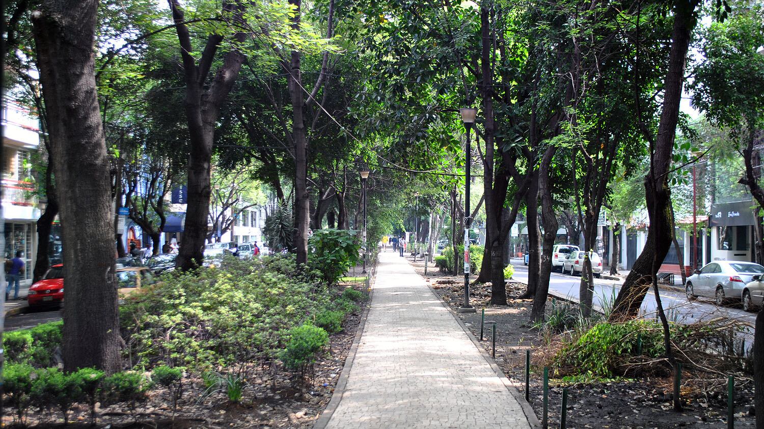 Los gigantes de la Condesa y la Ex Hipódromo