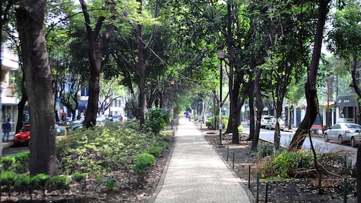 Los gigantes de la Condesa y la Ex Hipódromo