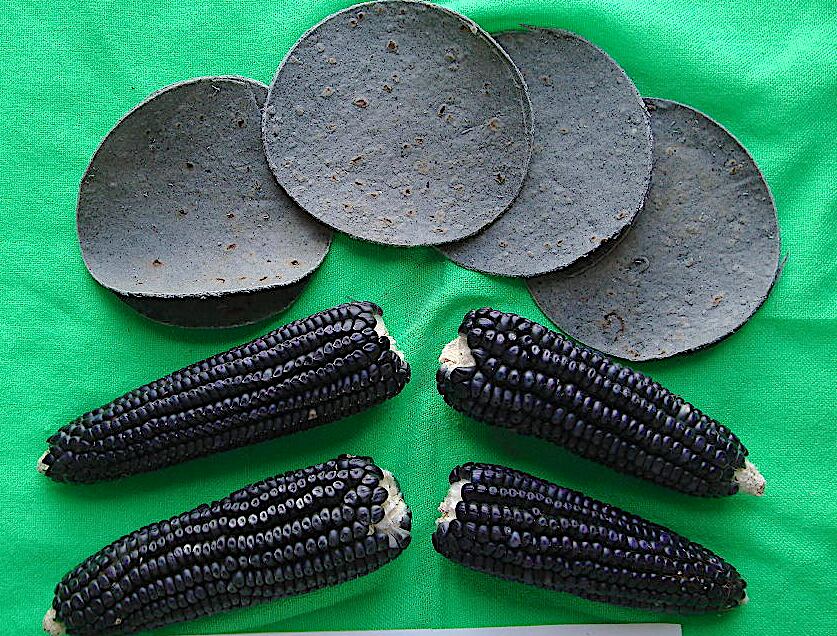 Tortillas azules