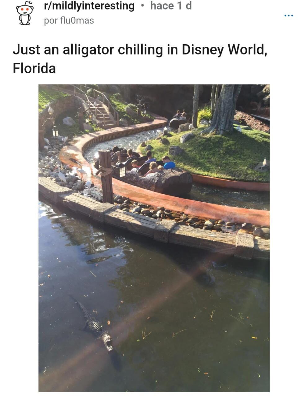 Cocodrilo en Disney