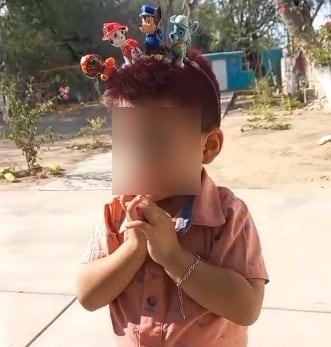 Peinado loco de Paw Patrol para el Día del Niño