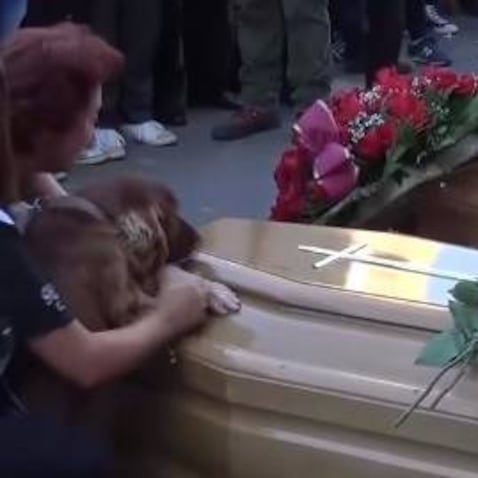 La conmovedora escena de un perro que despide a su amo fallecido tras sismo en Italia (VIDEO)