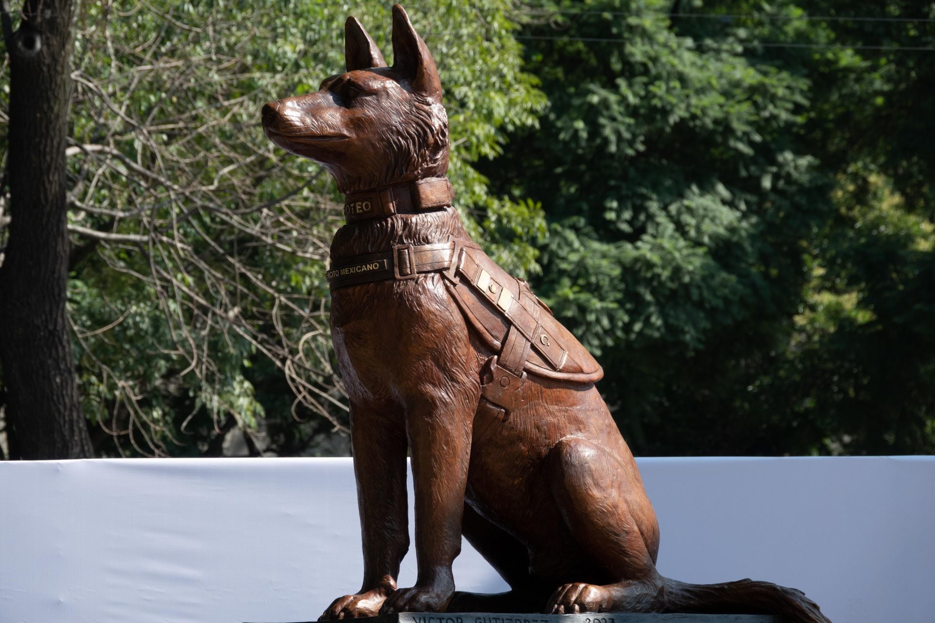Proteo tiene escultura en Campo Marte