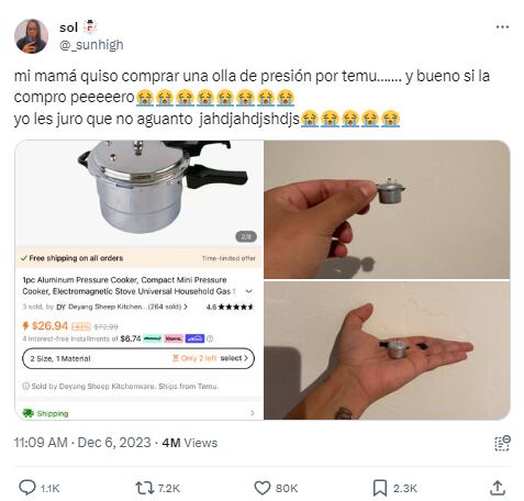 Pide en Temu olla exprés y le llegó una tamaño miniatura