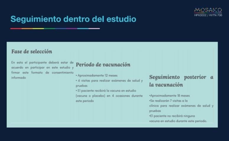 Proceso del Estudio Mosaico