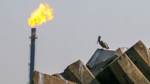 Una fuga de hidrocarburo en Dos Bocas a provocado un desastre ambiental en variaa costas de Tabasco