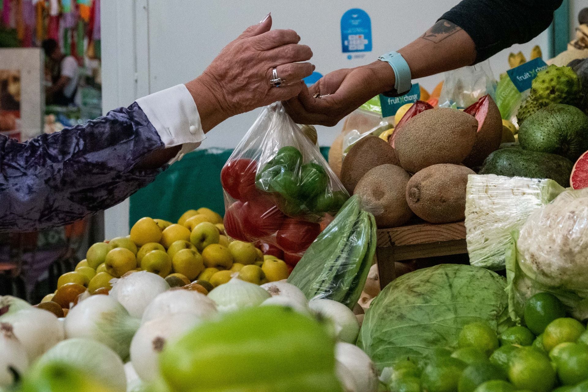 Compras de despensa familiar