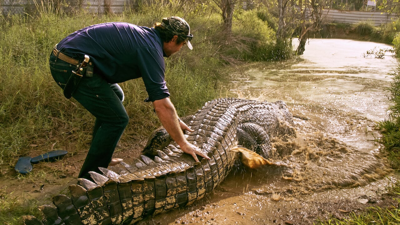 ‘Territorio Salvaje’, la serie de cocodrilos en Netflix