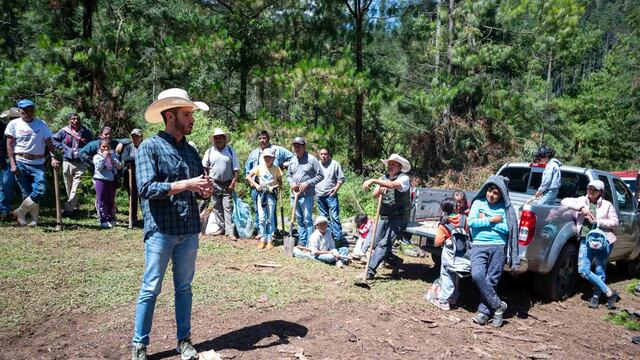 Hasta 25 años de prisión a quien atente contra los bosques
