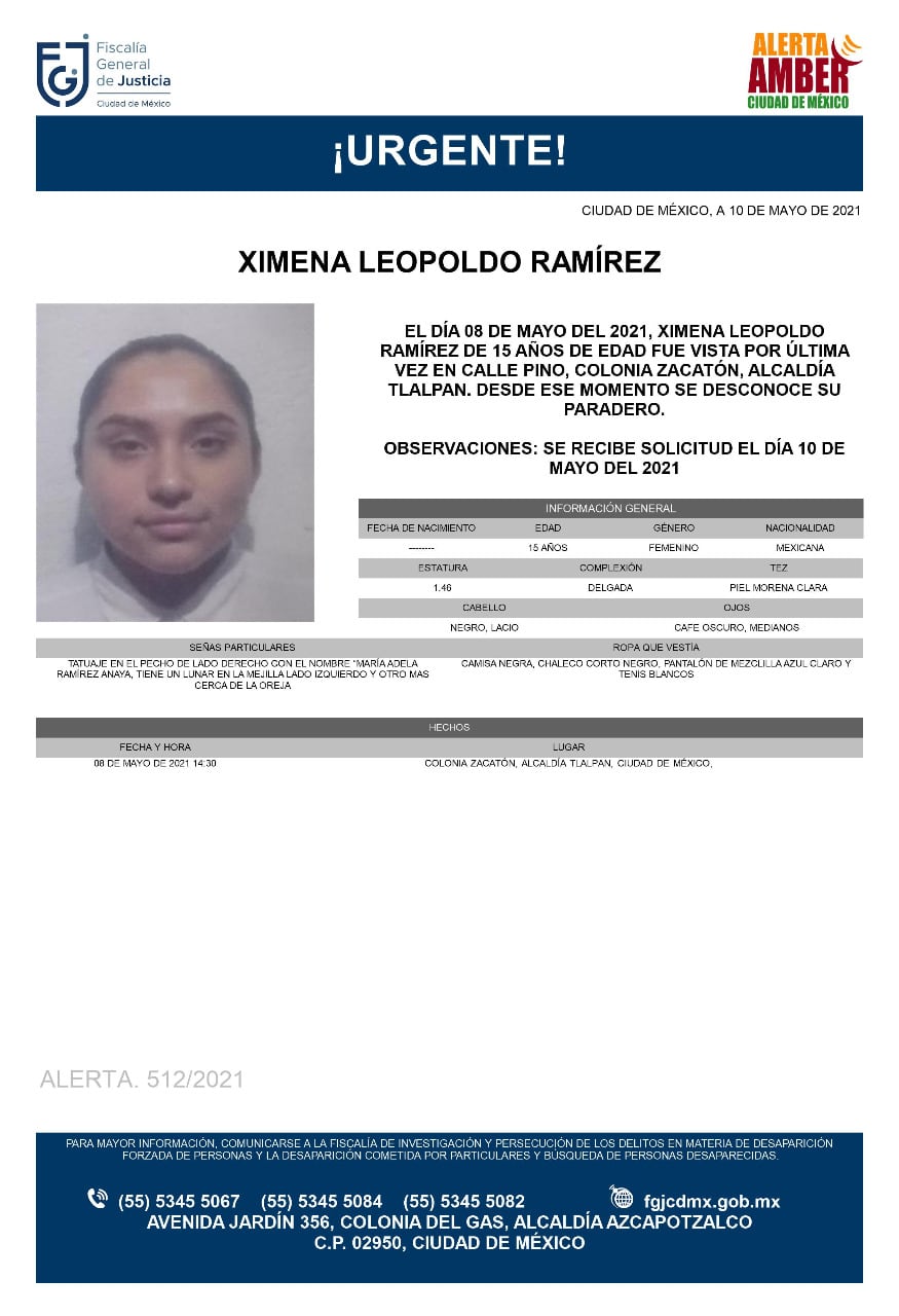 Ficha de búsqueda de Ximena