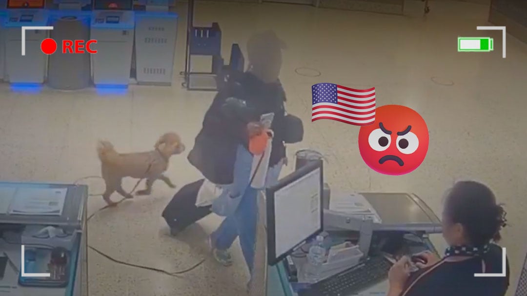 Mujer arrestada en Las Vegas por abandonar a su perro en el aeropuerto