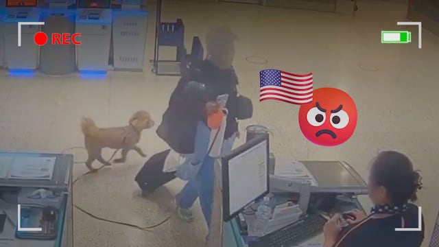 Mujer arrestada en Las Vegas por abandonar a su perro en el aeropuerto