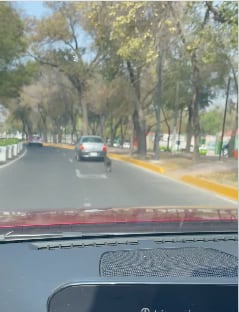 Captura de video de perrito abandonado en la CDMX