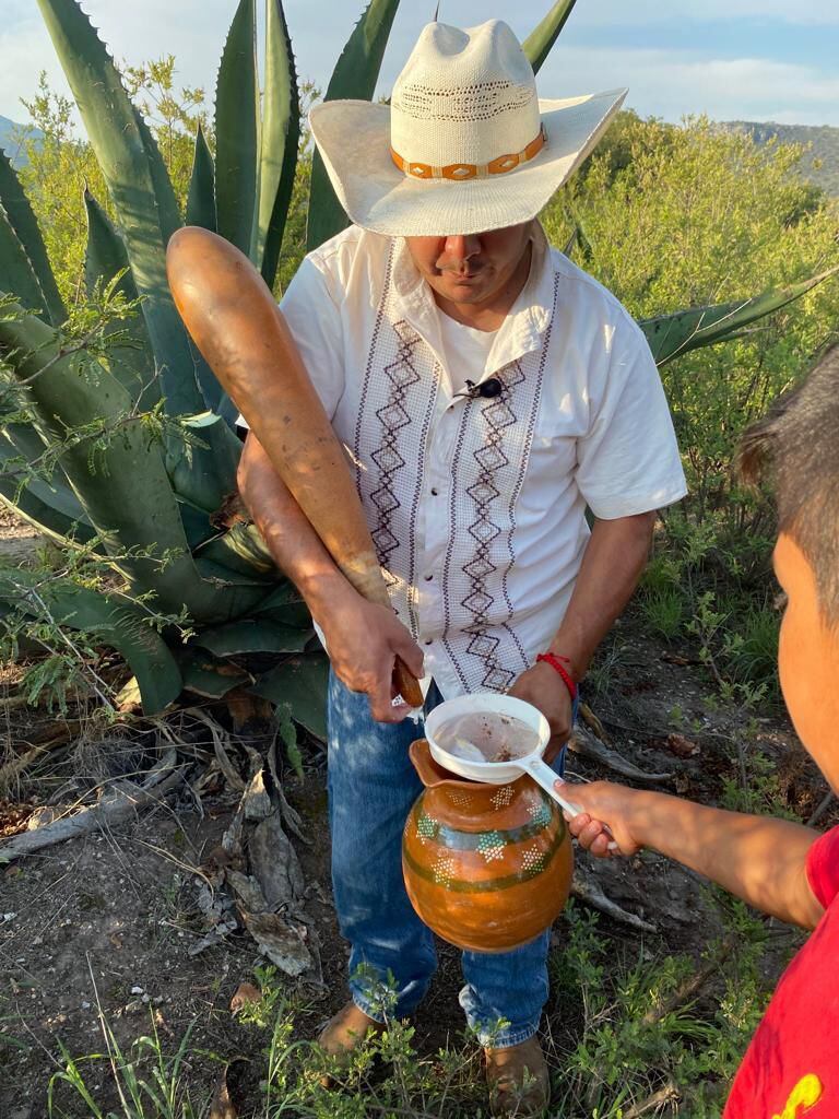 Hidalgo celebra el Día nacional del Pulque