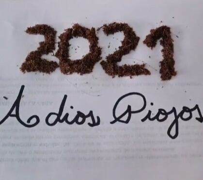 Cartel hecho con liendres