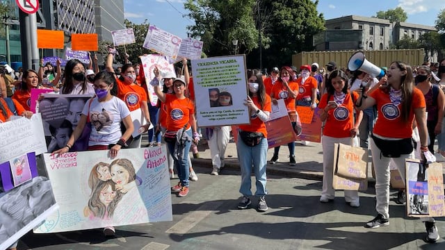 Caso de la niña Camila