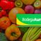 Bodega Aurrera tianguis de frutas y verduras hoy al 16 de enero 2025: Las mejores ofertas