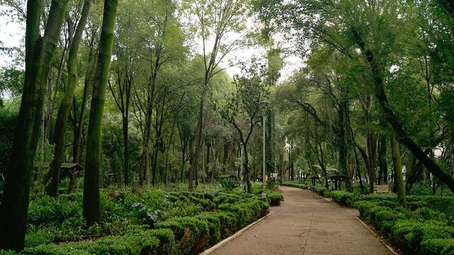 Parque México
