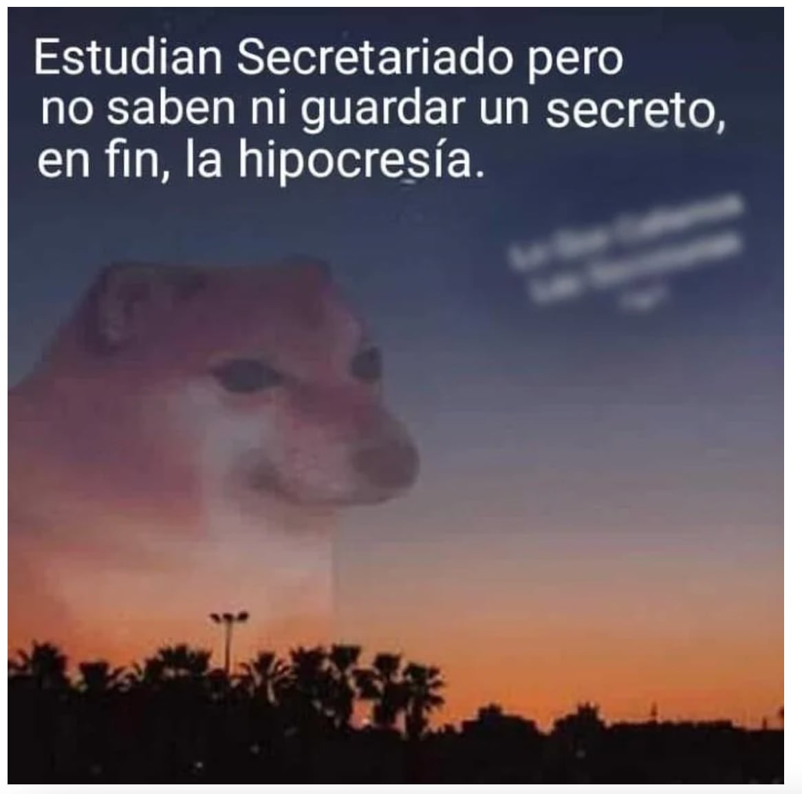 memes día de la secretaría 2022