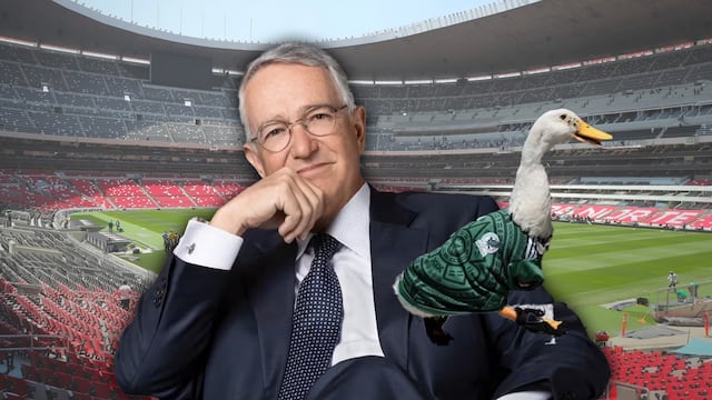 Salinas Pliego realiza inusual anuncio sobre el pato Merlín y su familia