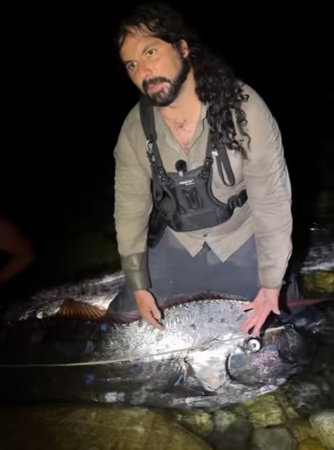 Peces remo en México