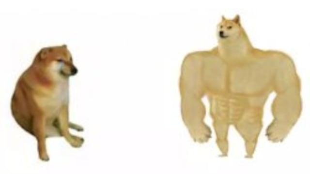 Cheems y Doge