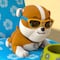 Lentes de Paw Patrol para niñas y niños: Precio y dónde comprar los más bonitos de los cachorros