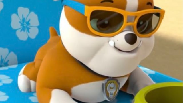 Lentes de Paw Patrol