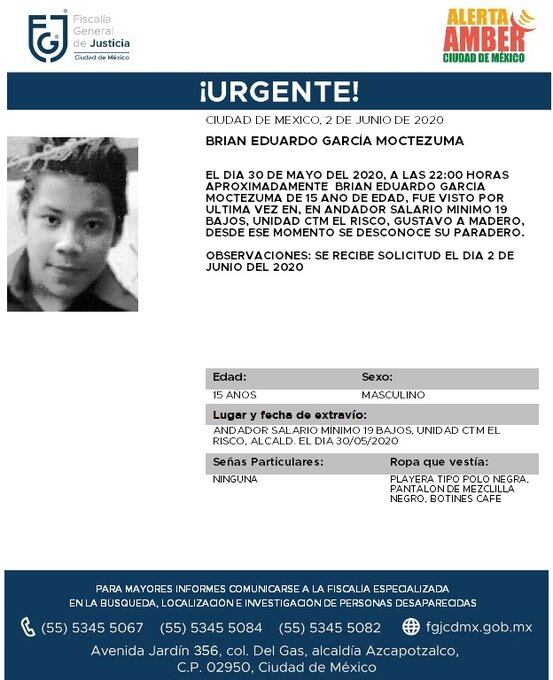 Ficha de búsqueda.